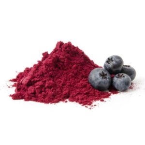 BlueBerry Fruit Powder