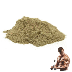 Horny Goat Weed extract（Epimedium） powder